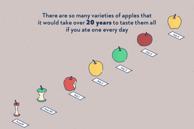 Factourism illustre les faits insolites du monde qui nous entoure 1